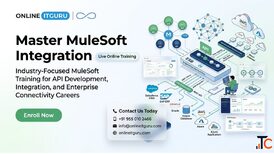 MuleSoft Course Online Certification Training with Real-Time Projects