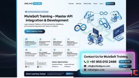 MuleSoft Online Training Learn API Integration with Certification