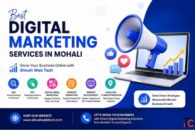 Best Digital Marketing Services in Mohali Shivah Web Tech