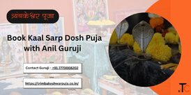Authentic Trimbakeshwar Kalsarp Pooja Services