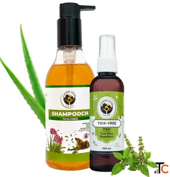 Dog Skin Care for Tick Season