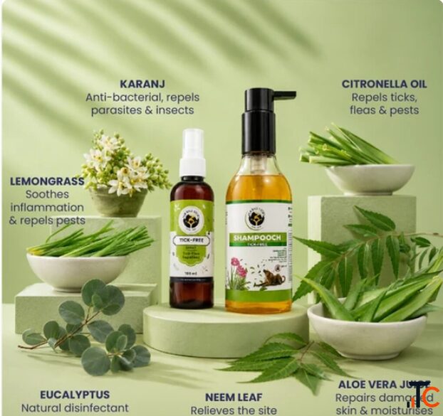 Dog Skin Care for Tick Season