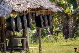 Borneo Family Holiday Adventure Holidays Wildlife Jungle Trip