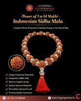 Trusted Rudraksha Shop in Berhampur
