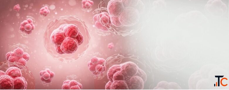 Blood Cancer Treatment Delhi