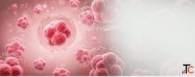 Blood Cancer Treatment Delhi