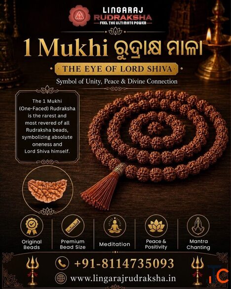 Best Rudraksha Shop in Cuttack