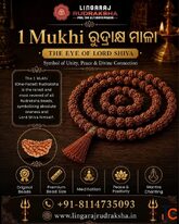Best Rudraksha Shop in Cuttack