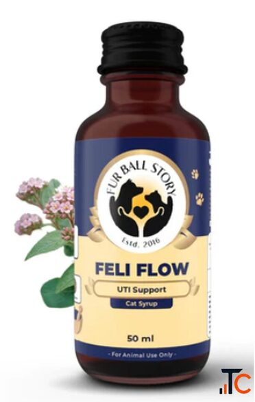 Herbal Cat Urinary Syrup