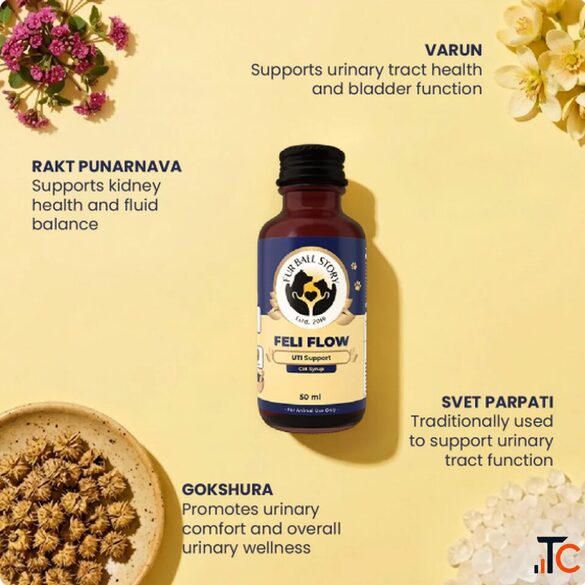 Herbal Cat Urinary Syrup