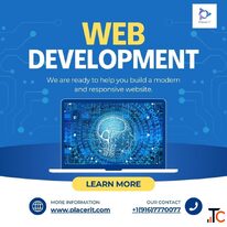 Website Development