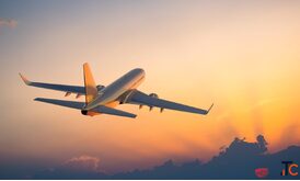 Tripxpedia - Affordable Travel Packages Hotel Bookings Flight Deals