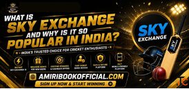 What Is Sky Exchange ID and Why Is It So Popular in India