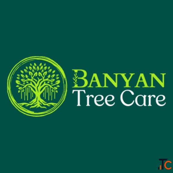 Banyan Tree Removal