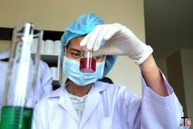 Multi-Cancer Early Detection Blood Testing Services