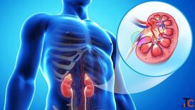 RIIMS Hospitals Best Ayurvedic Kidney Treatment Delhi