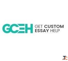 professional essay writers