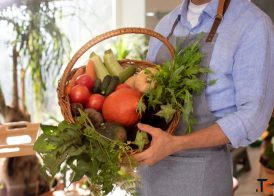 Terrace Vegetable Garden Ideas in India Smart Gardening Solutions