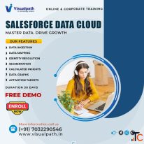 Salesforce Data Cloud Training Online Live Expert Classes
