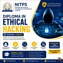 Diploma in Ethical Hacking 6 Months Cyber Security Course NITPS