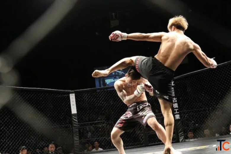 MMA Training in Noida Sec -51 for Students 2026