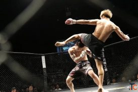 MMA Training in Noida Sec -51 for Students 2026