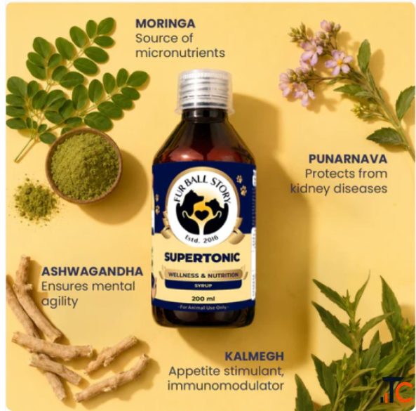 Dog Energy Booster for Active Lifestyle