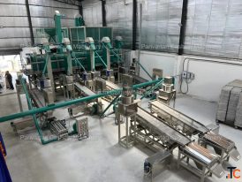 How a Cashew Scooping Machine Helps Improve Kernel Recovery