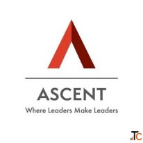 Why Peer Learning Matters for Modern Entrepreneurs