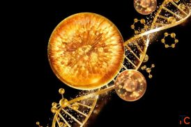 Peptide Skin Repair Technology Rebuilding Skin From Within