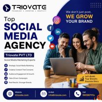 Top Social Media Agency - Triovate PVT LTD Social Media Marketing Experts