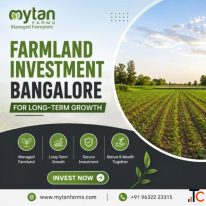 Farmland Investment Bangalore for Long-Term Growth