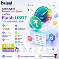 Turn Crypto Transaction Speed into Your Flash USDT