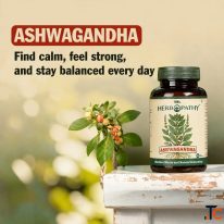 Buy Ashwagandha for Energy Relaxation-Natural Wellness Support
