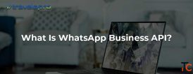Best WhatsApp Business API