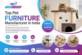 Top Pet Furniture Manufacturer in India