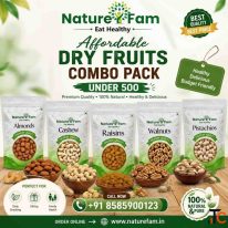 Affordable Dry Fruits Combo Pack Under 500 Naturefam
