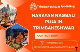 Special Narayan Nagbali Puja Services At Trimbakeshwar