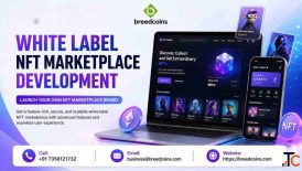Launch Your NFT Business with White Label NFT Marketplace Development