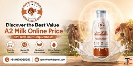 Discover the Best Value A2 Milk Online Price for Fresh Dairy Requirements