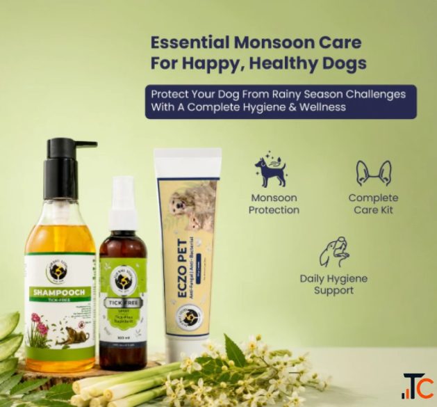 Antifungal Dog Cream and Grooming Essentials