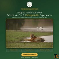 2 Nights Sundarban Tour Adventure fun and Unforgettable Experiences