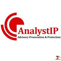 Professional Trademark Office Action Response