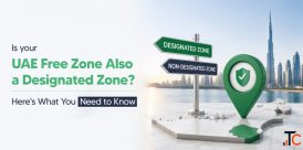 Designated Zone vs Free Zone UAE Key Differences Explained