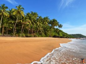 Madgaon Taxi Service - South Goa Beaches Heritage Walks Flexible Cab Trips