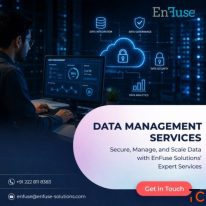 Secure Expert Data Management Services from EnFuse Solutions