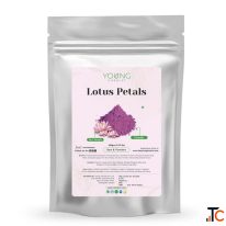 Lotus Petals