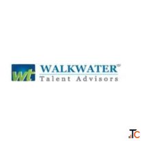 Best Executive Search Firms in India WalkWater Talent Advisory