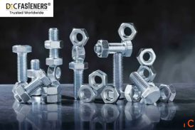 Nuts Exporter Supplier in India