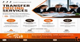 Transfer Pricing Services in India Expert Support for Compliance Audit